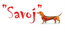SIA Savoj